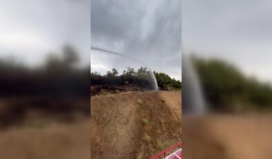 Bingöl’de ormanlık alanlarda çıkan yangın söndürüldü