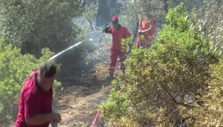İzmir’de alevlere karşı insanüstü mücadele: Uykusuz 72 saat