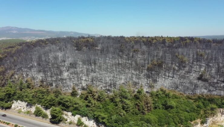 Buca’da ormanı küle çeviren yangının izi havadan görüntülendi