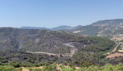 Bursa-Balıkesir sınırında çıkan orman yangını kontrol altına alındı