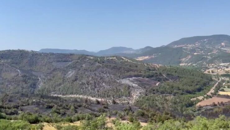 Bursa-Balıkesir sınırında çıkan orman yangını kontrol altına alındı