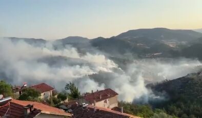 Bursa-Balıkesir sınırında çıkan orman yangınına müdahale ediliyor