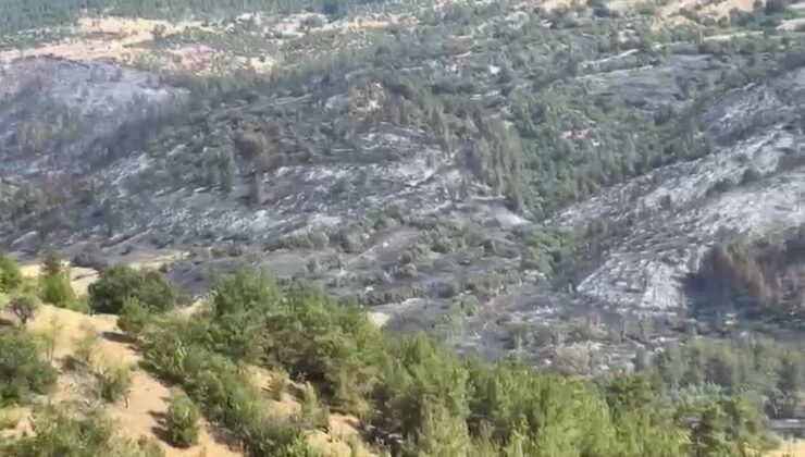 Bursa-Balıkesir sınırında orman yangını: Köyler tahliye edildi