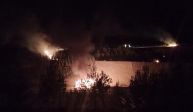 Otoyolda faciadan dönüldü: Kamyon patladı, ormanlık alan yandı