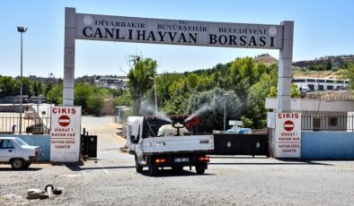 Diyarbakır’da hayvan borsası ilaçlanarak kapatıldı