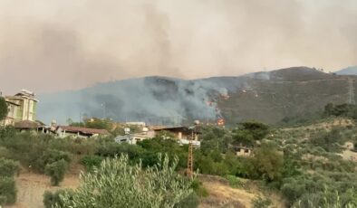 Hatay Antakya’daki orman yangını 3 mahalleye sıçradı