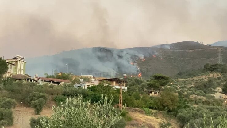 Hatay Antakya’daki orman yangını 3 mahalleye sıçradı