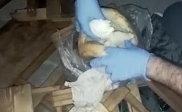 Ekmeğin içine gizlenmiş uyuşturucu ele geçirildi