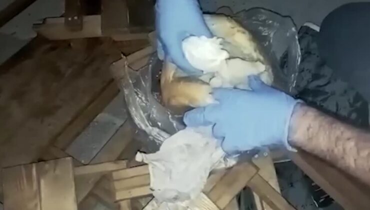 Ekmeğin içine gizlenmiş uyuşturucu ele geçirildi