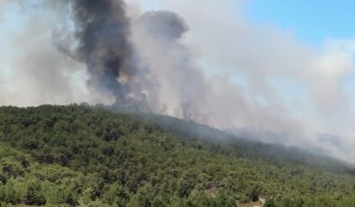 Seyitgazi’de orman yangını: Müdahale sürüyor