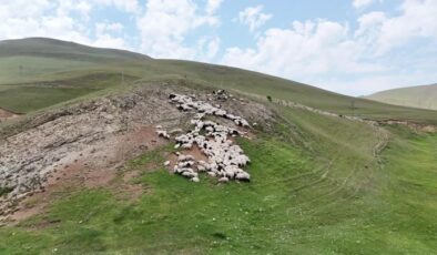 “Taşköprü Yaylası” doğaseverlerin uğrak noktası oldu