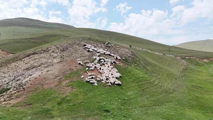 “Taşköprü Yaylası” doğaseverlerin uğrak noktası oldu