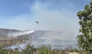 Gabar’daki yangına Şanlıurfa’dan helikopter desteği