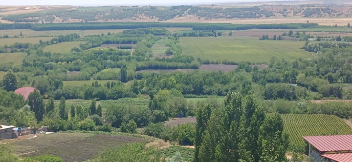 Hevsel Bahçeleri Yeşilin Tüm Tonlarıyla Büyülüyor