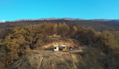 Hatay’daki orman yangınında küle dönen alanlar havadan görüntülendi