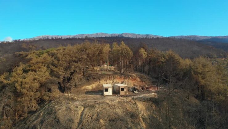 Hatay’daki orman yangınında küle dönen alanlar havadan görüntülendi