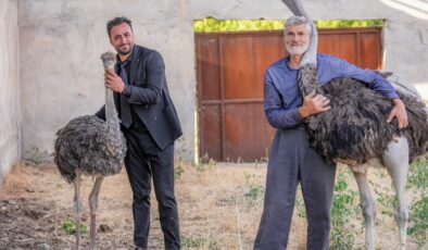 Hüdhüd’e mutlu son: Diyarbakır’ın firari deve kuşuna eş bulundu