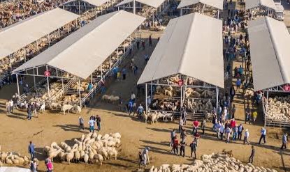 Diyarbakır hayvan pazarı ikinci bir emre kadar kapatıldı