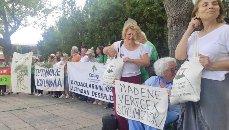 Kulp ve Lice çevre platformları TBMM’yi ziyaret etti