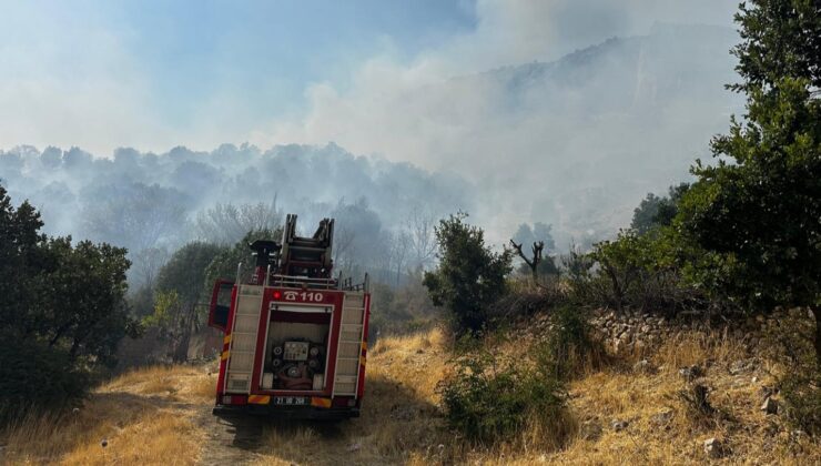 Lice ilçesinde ormanlık alanda çıkan yangına müdahale ediliyor