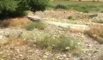 İran’dan katırla getirilen uyuşturucu ele geçirildi