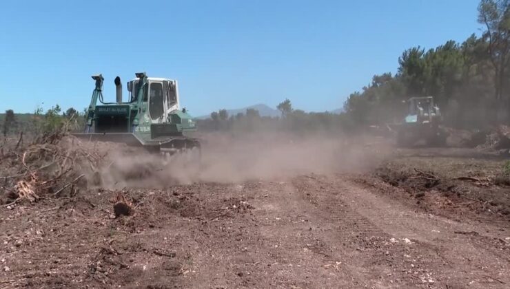 İş makinesi operatörleri yangına karşı ön safta alevlerle savaşıyor