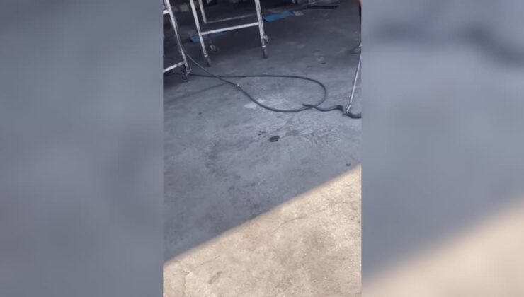İş yerine giren yılan itfaiye ekiplerince çıkarıldı