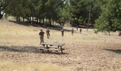 Jandarma, ormanlarda yangın riskine karşı denetim yapıyor