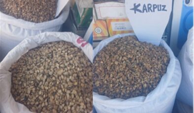 Karpuz Mevsimi Geldi, Çekirdeği Tezgâhlarda Yerini Aldı