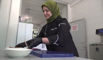 Kadınlar üretim gücünü kooperatiflerle birleştirdi