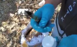Kargo paketinde sentetik ecza hapı ele geçirildi
