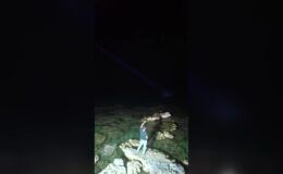 Kayıp olarak aranan avukat kadın ölü bulundu