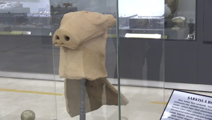 Kepçeye takılan Hitit dönemine ait boğa başlı testi parçası müzede sergileniyor