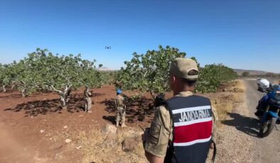 Kilis’te fıstık nöbeti: Dron destekli güvenlik denetimi