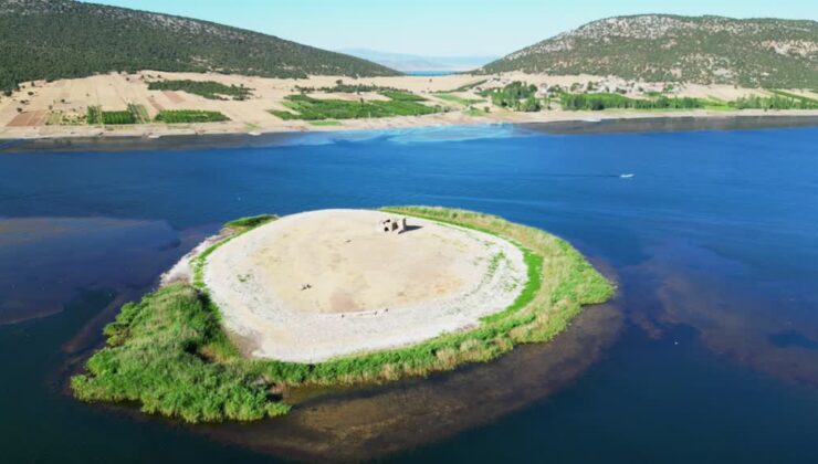 Mada Adası dronla görüntülendi: Göldeki yaşam büyülüyor