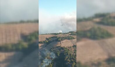 Manisa’da 4. gün: 3 ilçede yangınlar karadan ve havadan söndürülüyor