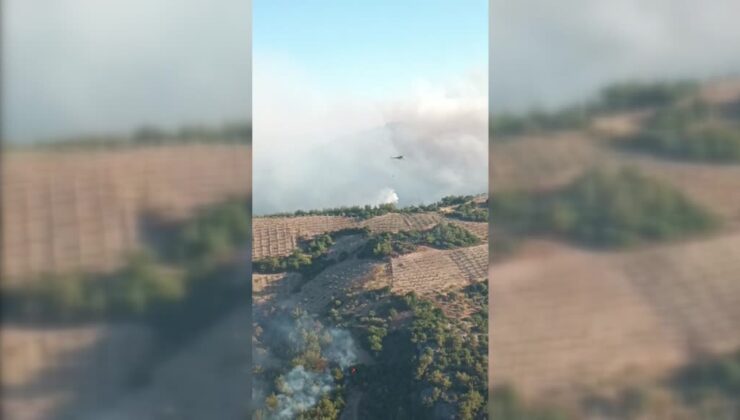Manisa’da 4. gün: 3 ilçede yangınlar karadan ve havadan söndürülüyor