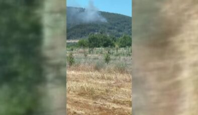 Orman yangınına havadan ve karadan müdahale sürüyor