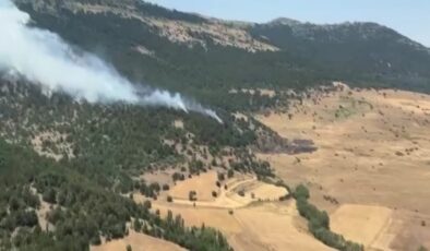 Doğanhisar’da orman yangını, Havadan müdahale sürüyor