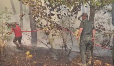 Orman yangınlarına 2. gününde müdahale sürüyor