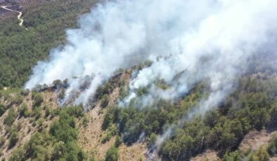 Karabük’teki orman yangınlarına 3. gününde müdahale sürüyor