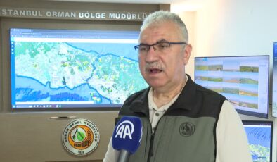 Orman yangınlarının yüzde 90’ı insan kaynaklı