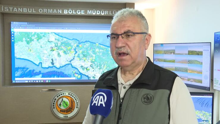 Orman yangınlarının yüzde 90’ı insan kaynaklı