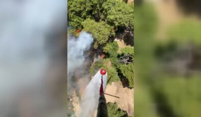 Ormanlık alanda çıkan yangına müdahale ediliyor