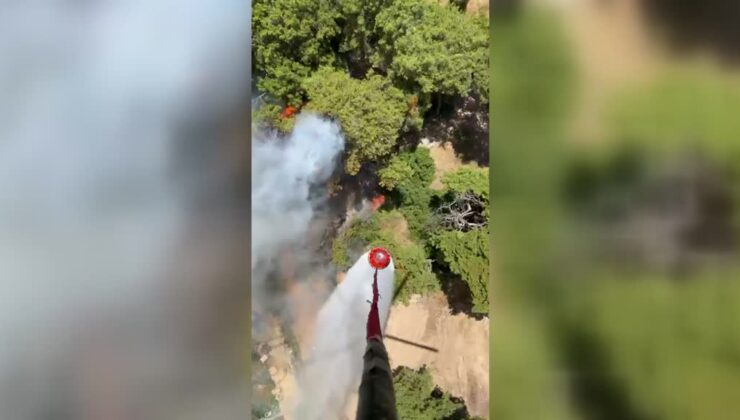 Ormanlık alanda çıkan yangına müdahale ediliyor