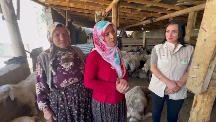 Otlu peynirin sofralara sağlıklı ulaşması için kadın üreticiler tek tek bilgilendiriliyor
