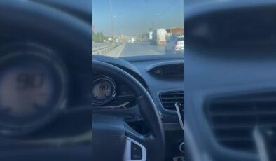 Direksiyon başında kertenkeleyle burun buruna geldi