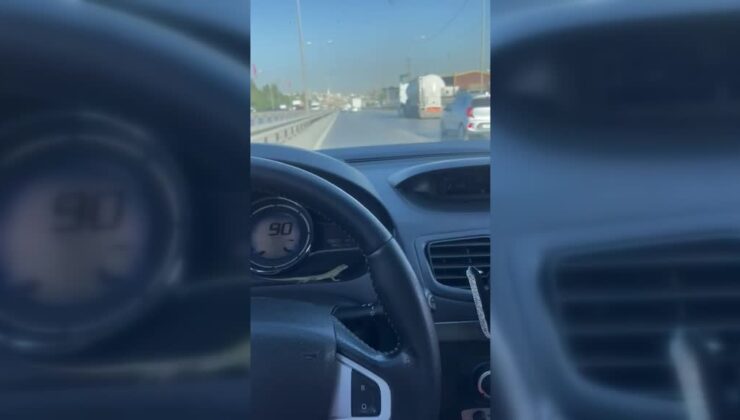 Direksiyon başında kertenkeleyle burun buruna geldi