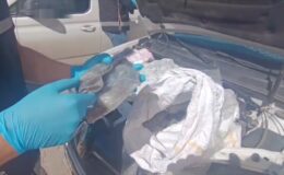 Otomobilin motor kısmında 65 tabanca ele geçirildi