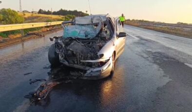 Pikaba çarpan otomobildeki sürücü hayatını kaybetti